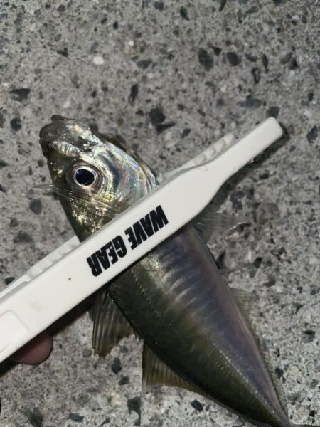 爆風の中ライトゲーム