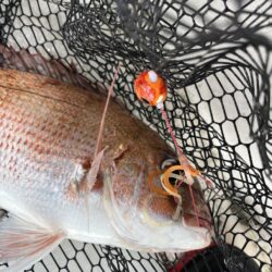 リールトラブルからの