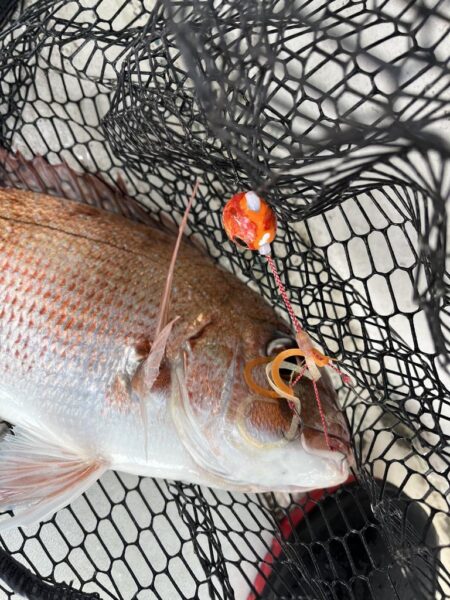 リールトラブルからの