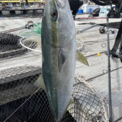 釣り堀水宝🎣