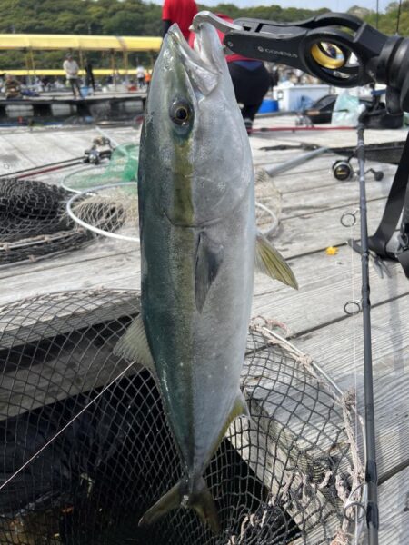 釣り堀水宝🎣