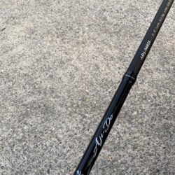 アジングのはず