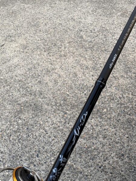 アジングのはず