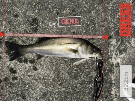 やっぱりハクボイルにはフラグマ90f！