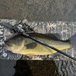 BOFU55のフリーリグがアツい！