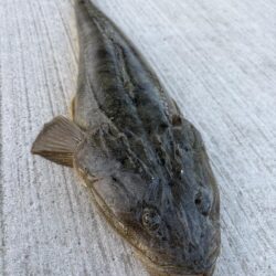 ビギナーズラック