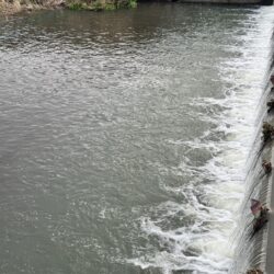 仕事帰りのナマズ釣り