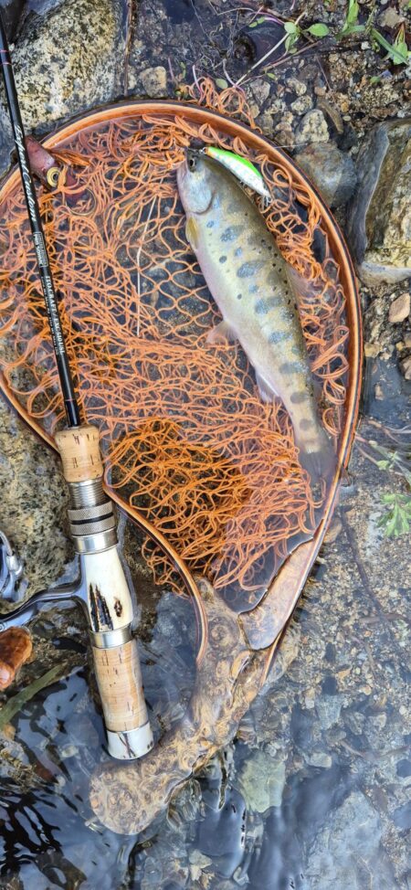 久しぶりの渓流へ