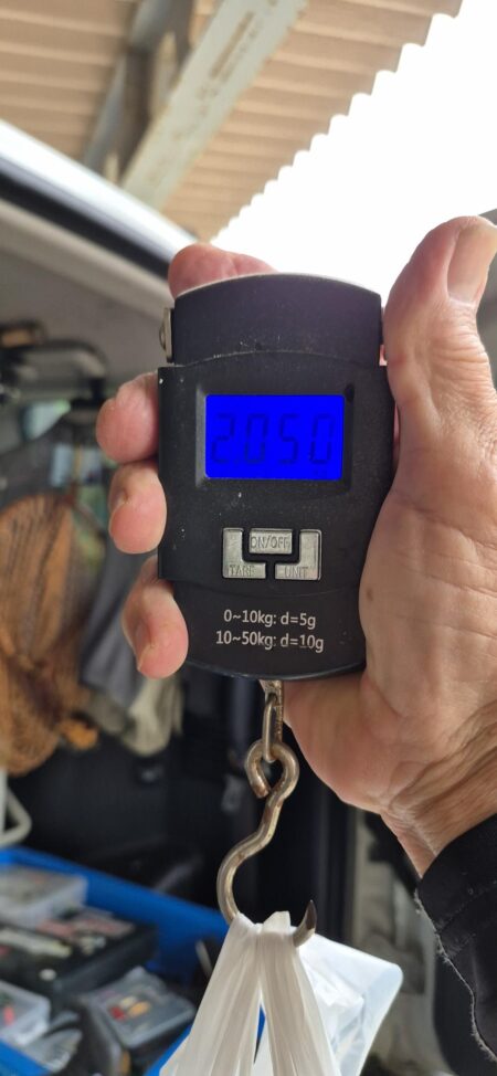 久しぶりのヤマメ