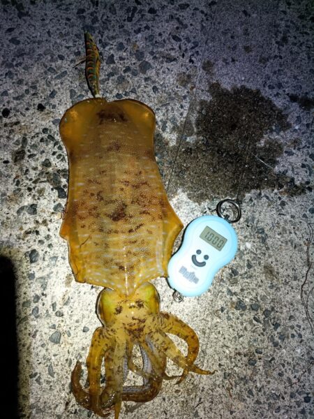 ギリギリキロアップ