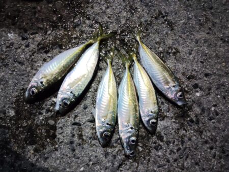 場所も違えば様子も違い