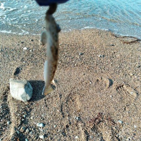 キス釣り〜夕マズメ