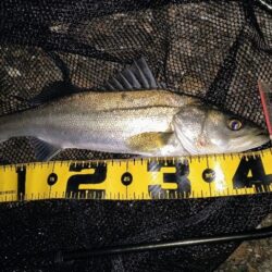 20:10からスイッチOFF⋯