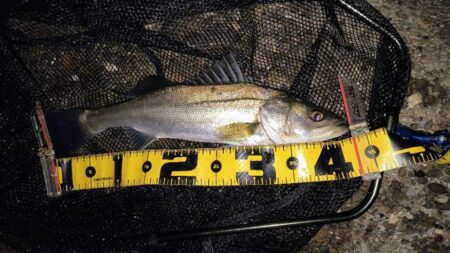 20:10からスイッチOFF⋯