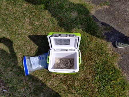 やっぱり稚鮎の唐揚げは最高ですね(^^)