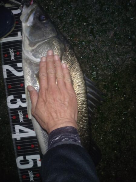 ランカー届かず