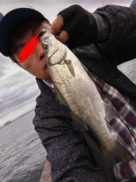 ヒラセイゴ釣れました!