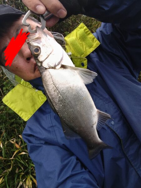 ソゲとヒラセイゴが釣れました!