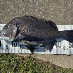 イチノ兄弟、釣果！