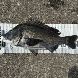 イチノ兄弟、釣果!