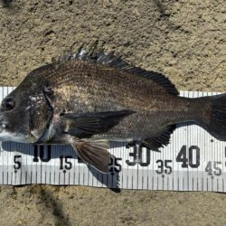 イチノ兄弟、釣果！