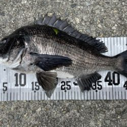 イチノ兄弟、釣果！