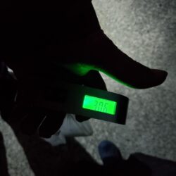 春アオリイカ狙い