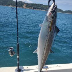 友ヶ島ジギング