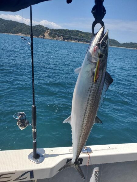 友ヶ島ジギング