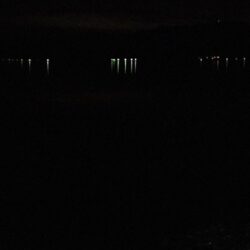 カマスは釣れず