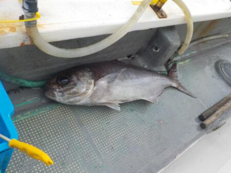 完全フカセ第1戦〜倉丸〜