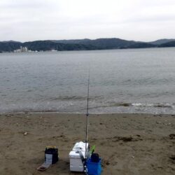 今シーズン初のキス釣り