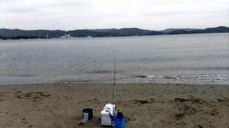 今シーズン初のキス釣り