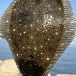 マルイチ君出撃