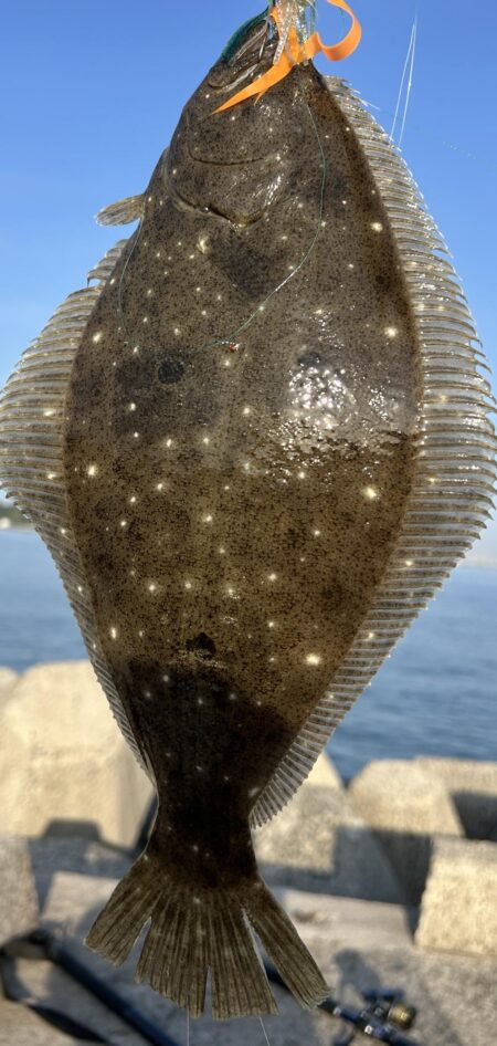 マルイチ君出撃