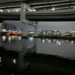 今季初バチ抜けシーバス