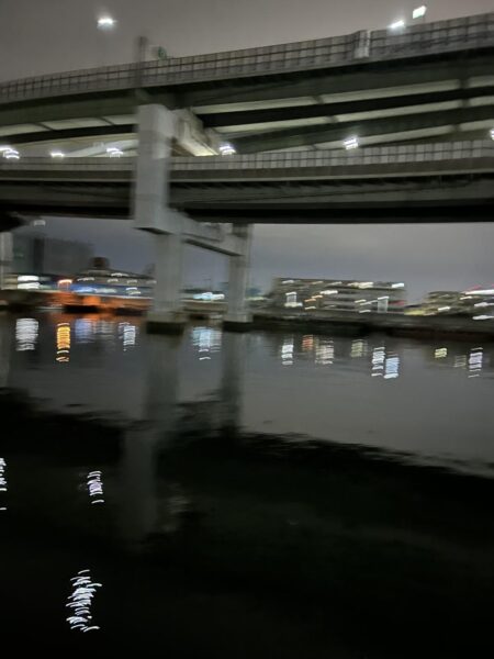 今季初バチ抜けシーバス