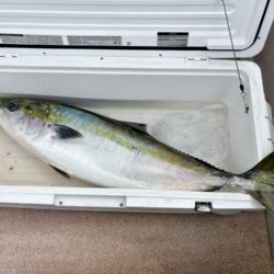 丹後沖ジギング船で春ブリ