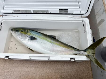 丹後沖ジギング船で春ブリ