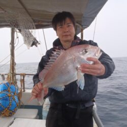 玄界灘の真鯛状況