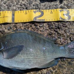 激闘！爆風小浦一文字！！