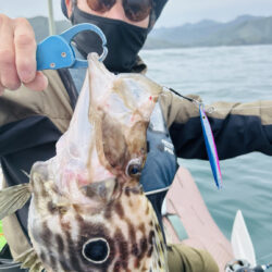 久しぶりに南伊勢でボート釣行