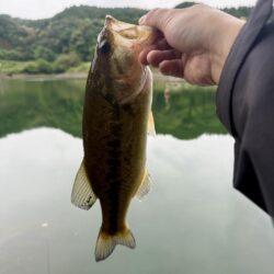 もうアフター💦