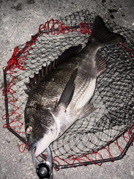 ヘチってきました