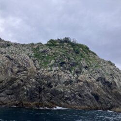 久々の磯ふかせ