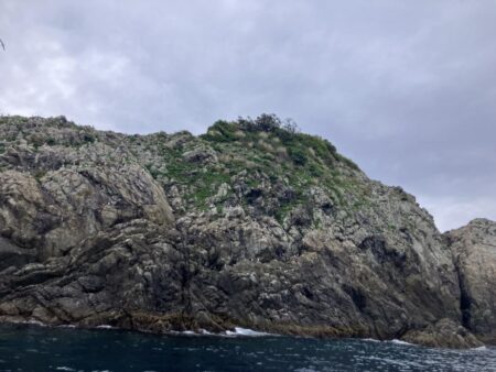 久々の磯ふかせ