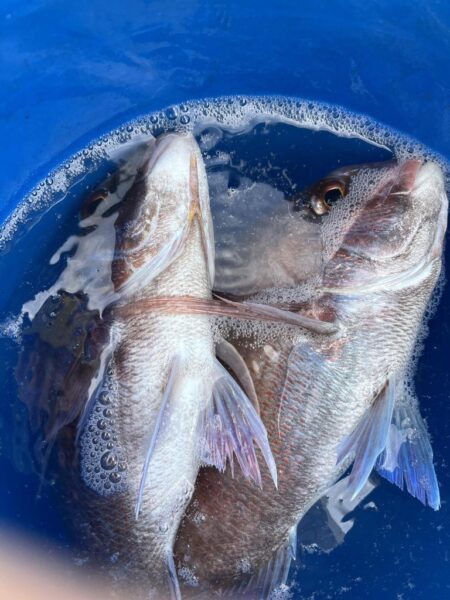 リールトラブルからの