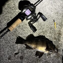 3年ぶりくらいに釣りをしました