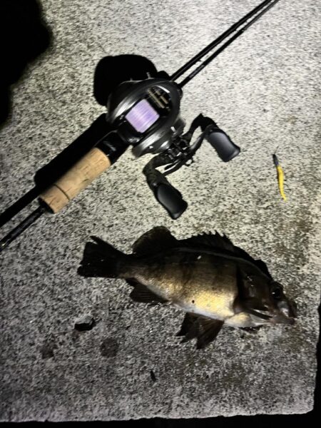 3年ぶりくらいに釣りをしました