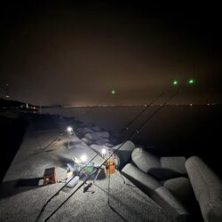 花見カレイ狙い